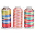 120d/2 100% Viscose Filament Mercerized Multicolored Embroidery Machine Thread for Sewing & Hand Knitting