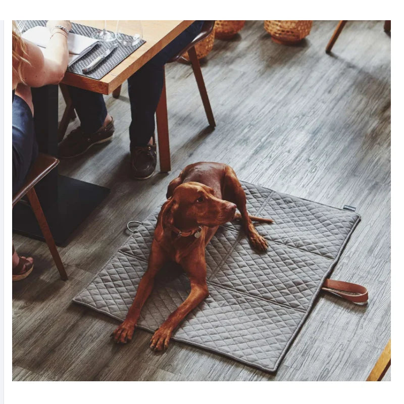 Dog Bed Soft Pet Blanket Cat Litter  Puppy Sleep Mat Lovely Mattress Cushion for Dogs