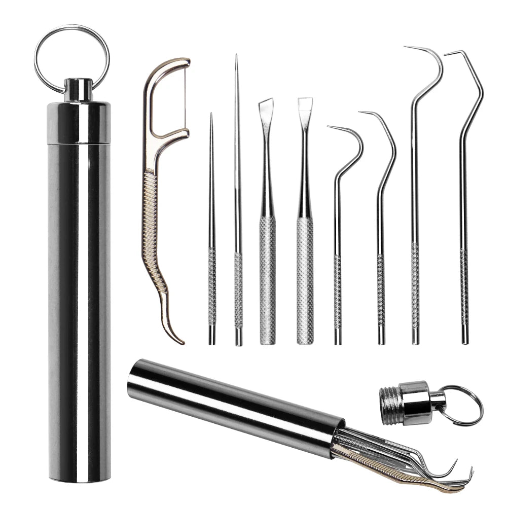 Dental Tools 10 Pack Professional Plaque Remover for Teeth Cleaning Tools Set