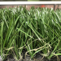 Artificial Grass Carpet for Soccer Pitch Football Field Playground