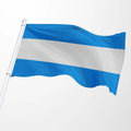 Promotional Product Wholesale Customized Cheap 3x5ft 100%Polyester Screen Printing Custom Argentina (no Seal) Nautical Flag