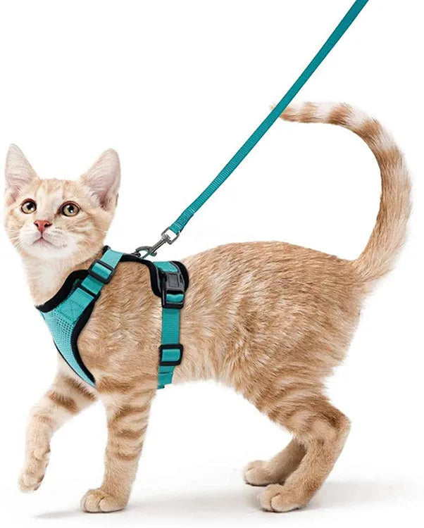 Pet Travel Simple Adjustable Cat Vest Harness with Iron Polyester Mesh Escape Proof Ribbons Decoration Leash Set for Walking