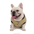 Fall Winter Pet Apparel Jacket Clothes for Frenchie Bulldog