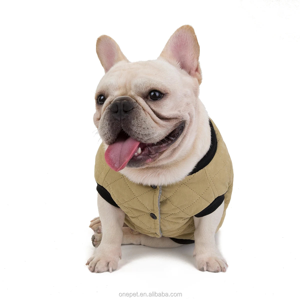 Fall Winter Pet Apparel Jacket Clothes for Frenchie Bulldog