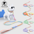 Alloy Leather Plastic Nylon Personalized Pet Dog Leash for Small Medium Large Dogs Pitbull Bulldog Pugs Beagle Outdoor Walking