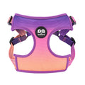 Custom QQpets Small Dog Harness Set Breathable Nylon Lead No Pull Training Harnesses with Padded Chest Strap
