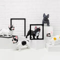 Wholesale Colored Drawing PVC Pet Doberman Dog Mannequin Display Clothes