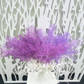 Wholesale Artificial Rime 6 Forks Plastic Misty Grass for Wedding Ceiling Hanging Decorations Flower