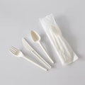 Eco-Friendly Biodegradable PLA Cutlery Set Disposable Spoon Fork Knife for Restaurants Takeout Catering and Parties