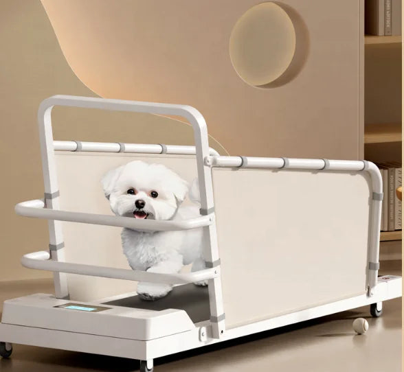 USMILEPET Factory Direct New Design Small Medium Dog Treadmill 2.0HP Motor 100KG Load Capacity Eco-Friendly Steel Frame Pet