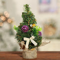 Mini Christmas Tree 20/30Cm Package Window Desktop Christmas Decorations New Years Cheap Small Christmas Tree Decoration