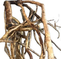 San Ye Wu Jia New Wild Dry Trifoliate Acanthopanax Root for Herb