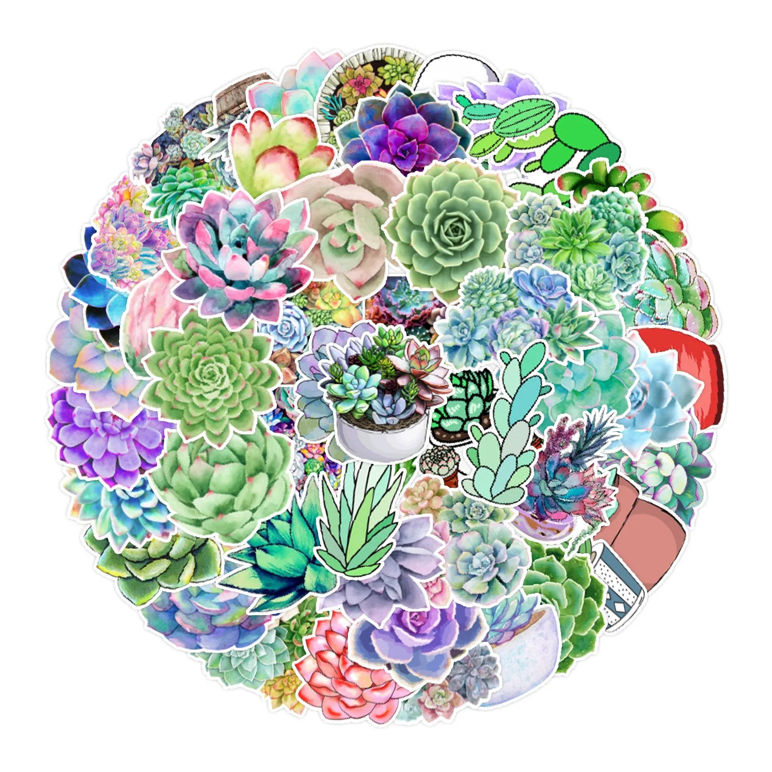 50PCS Multiple kawaii cactus flower collection cute aloe green plants succulent sticker