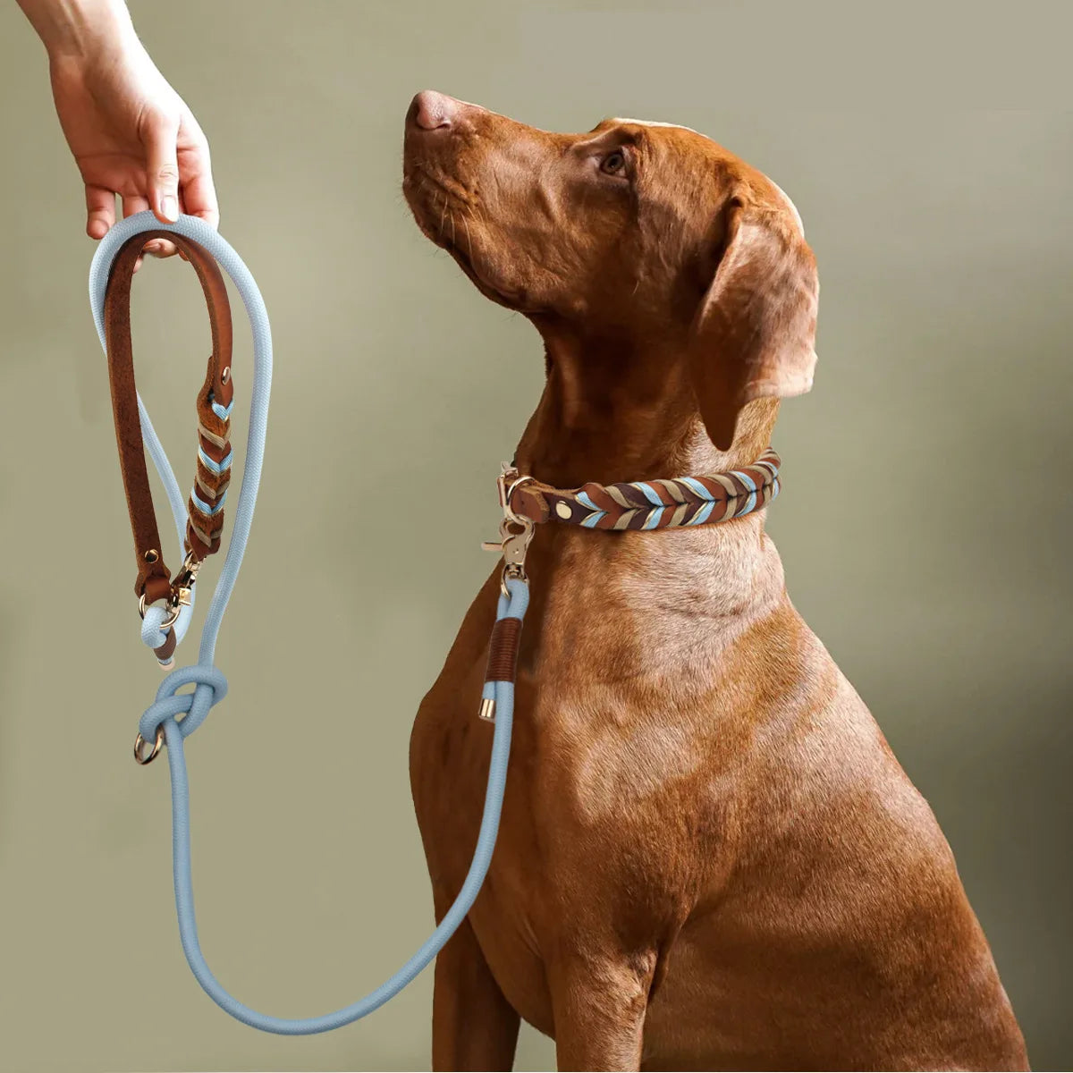 Multifunction Pet Collar and Leash Set Luxury Nylon Rope Modern Hands Free Leash Ture Leather Waist Bohobraided Dog Collar