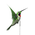 Wholesale Hot Selling Stainless Steel Parrot Chain Collar Leash Bird
