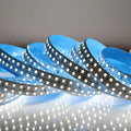SMD2835 Double Row LED Strip Waterproof 240LEDs/m 5M Black White PCB LED Light DC24V IP20/IP65