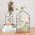 Plant Flower Decoration Transparent Living Room Home Vase Flower Arrangement Ornaments Glass Vase