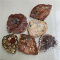 Wholesale Prices Different Size Natural Wood fossil Slice Reiki Healing Stone Coasters and Placemats for Home Decoration