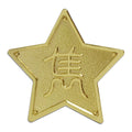 Wholesale Metal Sanding Design Star Gold Lapel Pin With Magnet Clothing Brooch Button Badge Company Emblem Custom Logo