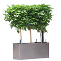 Leizisure Rectangular Plastic Flower Pot Large Outdoor Home Decor Planters Creative Design Garden Courtyard Desktop Wholesale