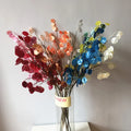 A-1065 Red Pink Blue Color Afloral Fakes Lunaria Silver Dollar Leaf Branch Wedding Home Decoration