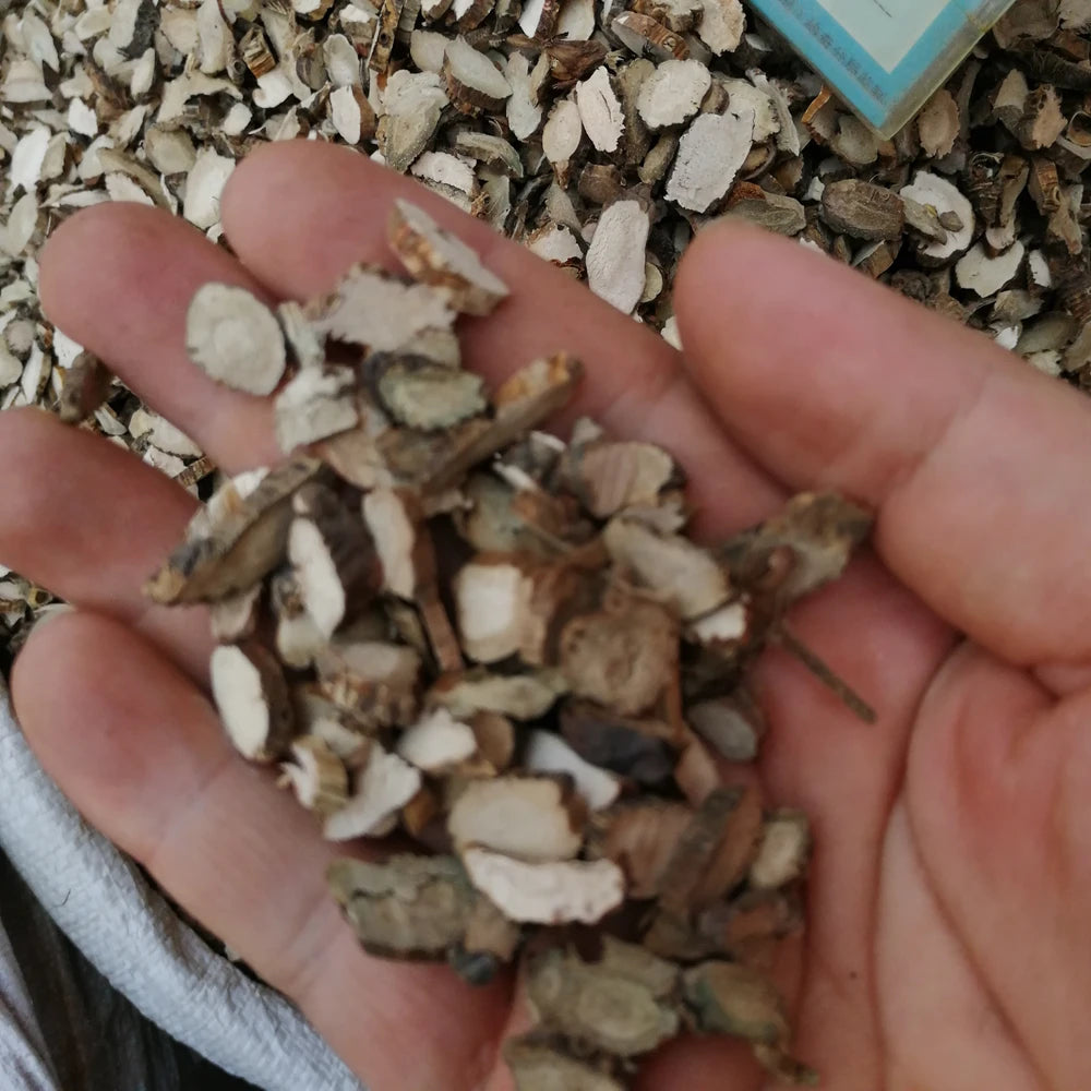 Shui Chang Pu Dried Acorus Calamus Rhizome Sweet Flag Roots for Sale