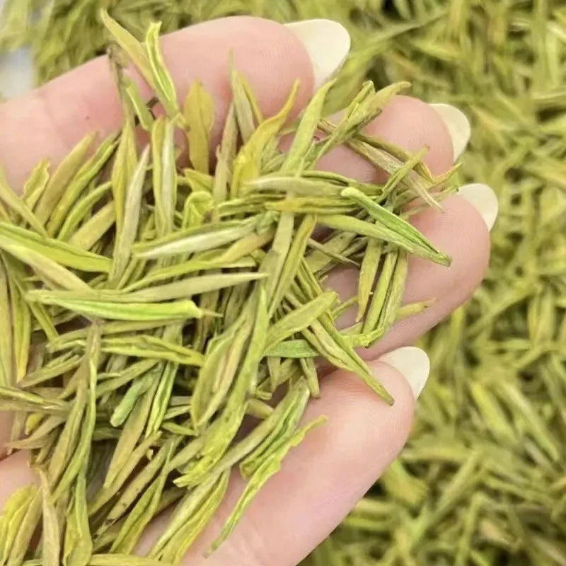Chinese Famous High Quality Loose Leaf Green Tea an Ji Bai Cha From Tea Manufacturers 50g/tin