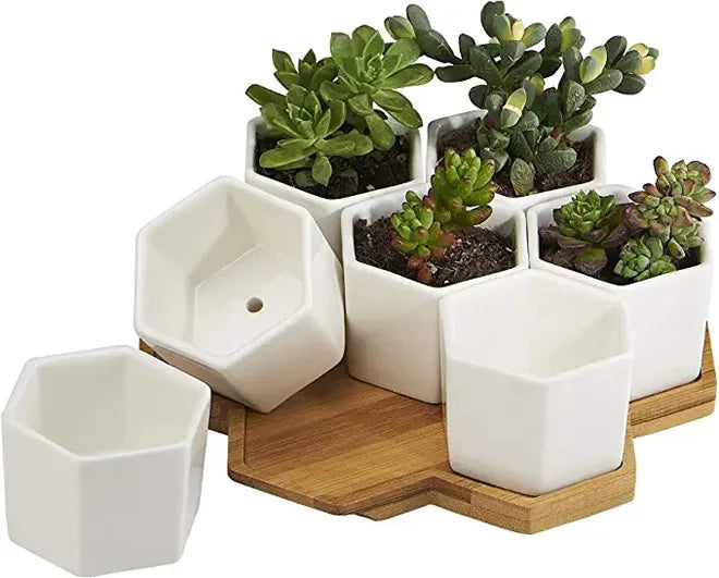 Hot 7-Piece Set of Hexagonal Ceramic Mini Succulent Planters with a Big Bamboo Tray for Bookshelves Window Sills Garden Use