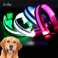 SinSky USB Rechargeable Pet Collars Eco Friendly Reflective Adjustable Night Safety Flashing LED Dog Cat Collars