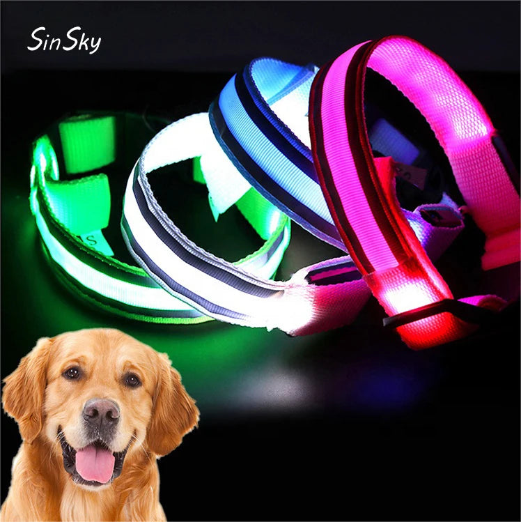 SinSky USB Rechargeable Pet Collars Eco Friendly Reflective Adjustable Night Safety Flashing LED Dog Cat Collars