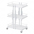 S.W Casual Beauty Trolley Modern Stainless Steel Eco-friendly 360 Degree Rotation 4 Wheel Mobile Commercial Use Storage Salon