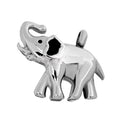 Stainless Steel Silver Plated Children's Elephant Memorial Pet Ash Holder Cremation Animal Casket Keepsake Urn Pendant Jewelry