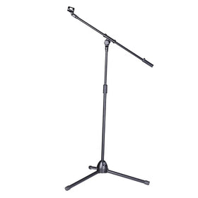 Rayyu GH-210 Professional Audio Floor Wired Bassoon & Microphone Stand Wireless Karaoke Pro Black Metal