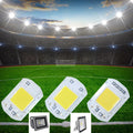 LED COB Chip 10W 20W 30W 50W 220V Smart IC No Need Driver LED Bulb Lamp for Flood Light Spotlight Diy Lighting