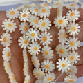 Natural Sea Shell Little Daisy Beads for Jewelry Making Fashion DIY Necklace Bracelets Earrings Accessories