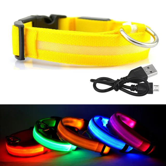 USB Rechargeable Light up Dog Collar LED Dog Collar High-Light Flash Anti-Lost Training Leash With Nylon Material for Dogs