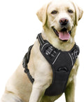 Dog Harness No-Pull with 2 Leash Clips Adjustable Reflective Solid Nylon Vest for Large Dogs