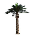 Customizable Different Height Artificial Large Palm Trees for Theme Parks Outdoor Fake Palms
