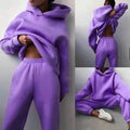 Custom logo Women's Tracksuit 350gsm Hoodie Set Wholesale Two Piece Heavyweight Hoodies and Sweat Pants Set Women