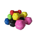Hot Sale Hot Sale 2025 Custom Women Use Colored Vinyl Dumbbell 2.5kg Vinyl Dumbbell for Home Chahang