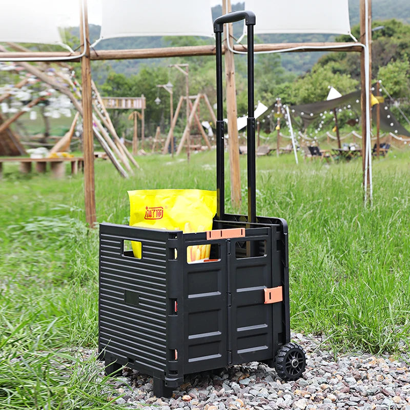 Baoyu Plastic Two-wheel Trolley Foldable Grocery Trolley Eco-friendly Shopping Trolley Folding Shopping Cart