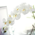 A-1019 Quality Bulk Decorative Cymbidium Real Touch Latex Silk 9 Heads White Artificial Butterfly Orchid Stem Flower for Decor