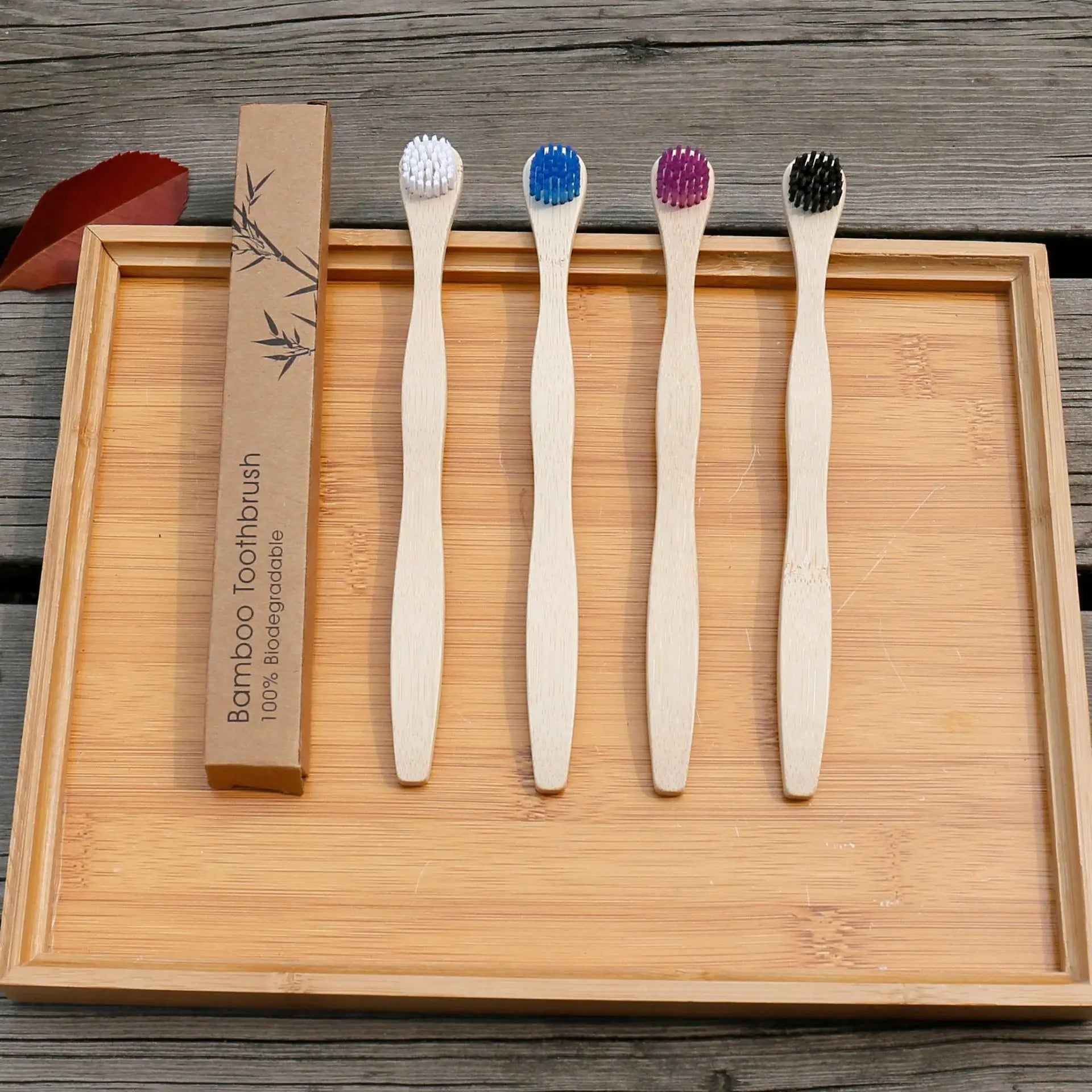 Natural Moso  Toothbrush Tongue Cleaner with Charcoal Bristle Oral Care Home Use