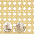 Brand New UV-Resistant Mesh Natural Rattan Fiber Cane Webbing Rattan Furniture Garden Furniture for Garden Lounge