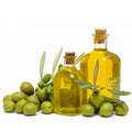Wholesale Bulk Price 100% Organic Top Cooking Oils 100% Pure Olive Oil Refined Edible Food Oil for Therapeutic Melaleuca Skin