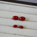 2024 New Niche Brass Gold Plated 925 Sterling Silver Needle Handmade Enamel Ormosia Stud Earrings for Girls