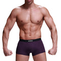 New Fashion Classical Boxer Briefs Wholesale Factory Customized Logo Pour Hommes Mens Boxers