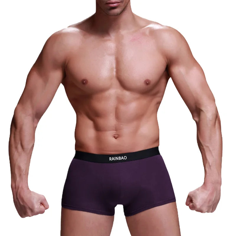 New Fashion Classical Boxer Briefs Wholesale Factory Customized Logo Pour Hommes Mens Boxers