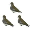 Xilei American Golden Plover Hunting Decoy Simulated Plastic Bird on Stand for Outdoor Hunting