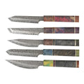 Hot Sale Professional Chef Damascus Fruit Knife High-End Custom Metal Knife From Factory